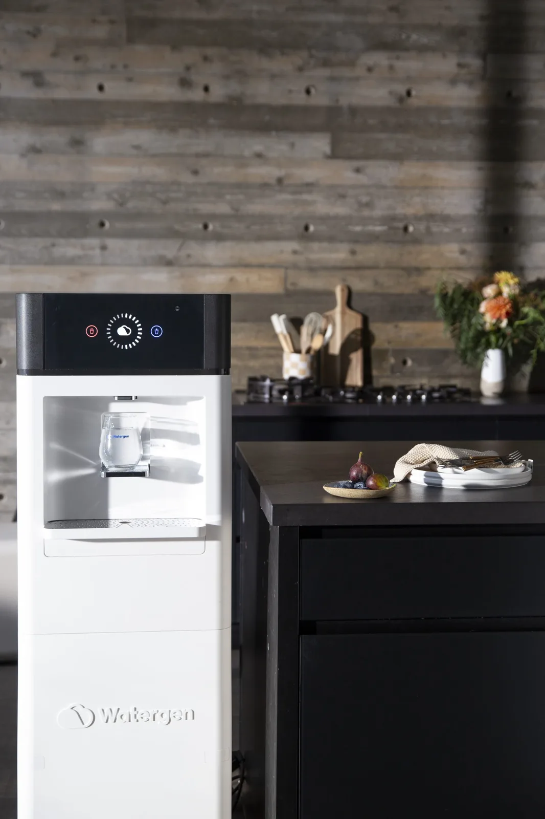 GENNY in a home kitchen beside a dark wooden counter